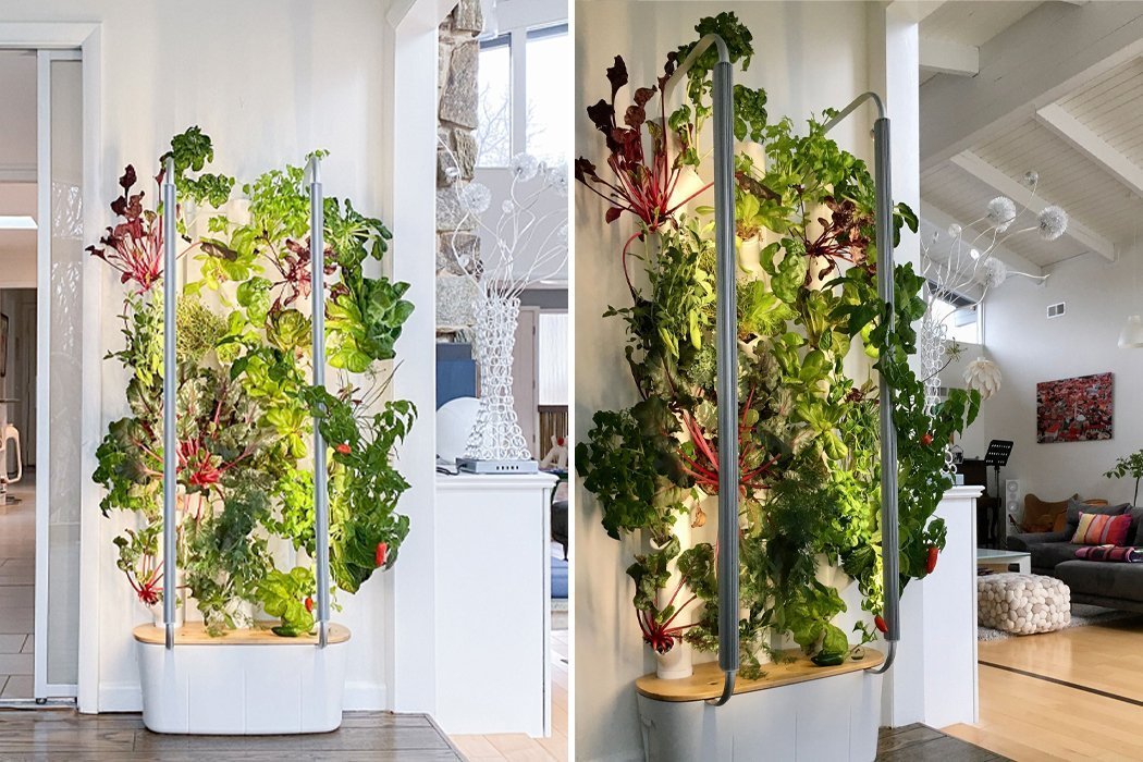 Bringing Nature Indoors: Smart Gardening Solutions for Your Home