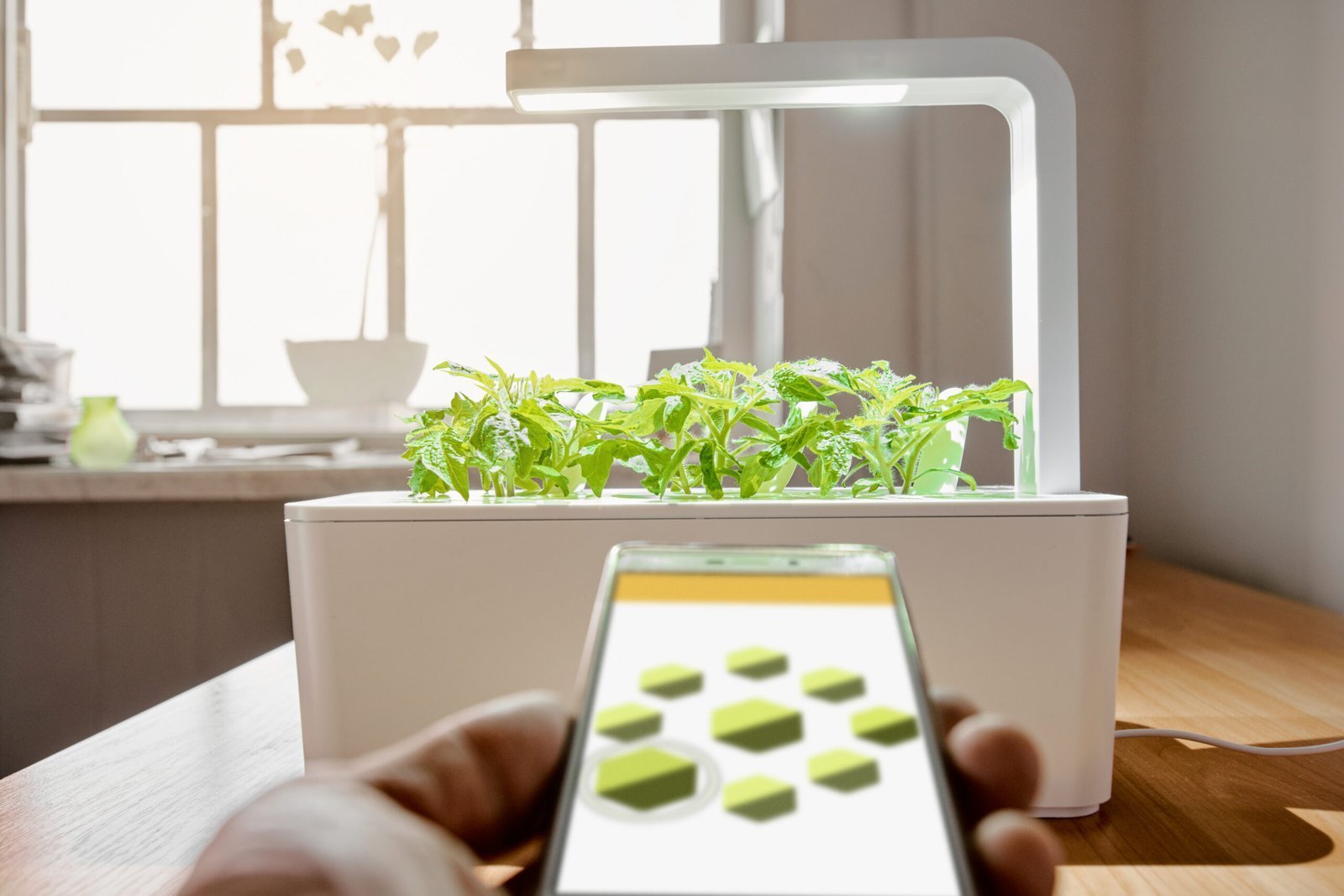 Grow Like a Pro: Smart Solutions for Automated Gardening